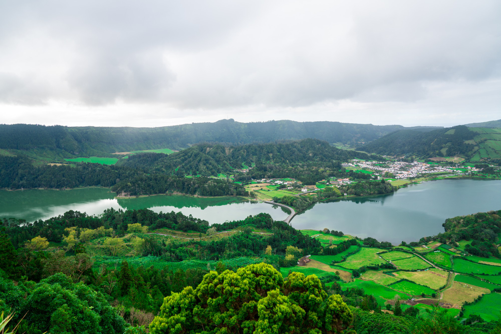 Tipos de agricultura no Brasil: Quais são?