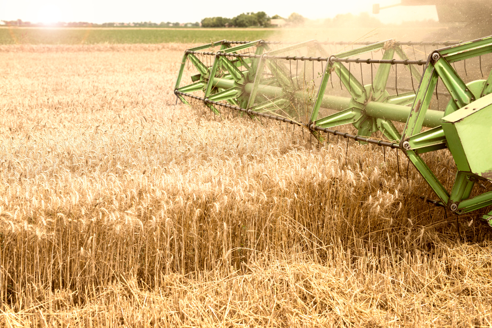 Insumos agrícolas: o que são?