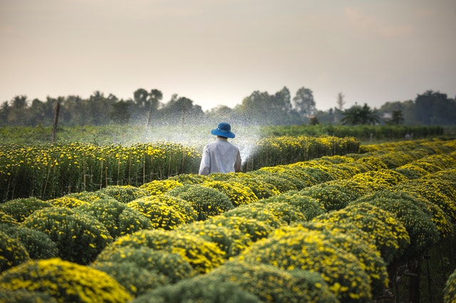 Agricultura Familiar: importância e características