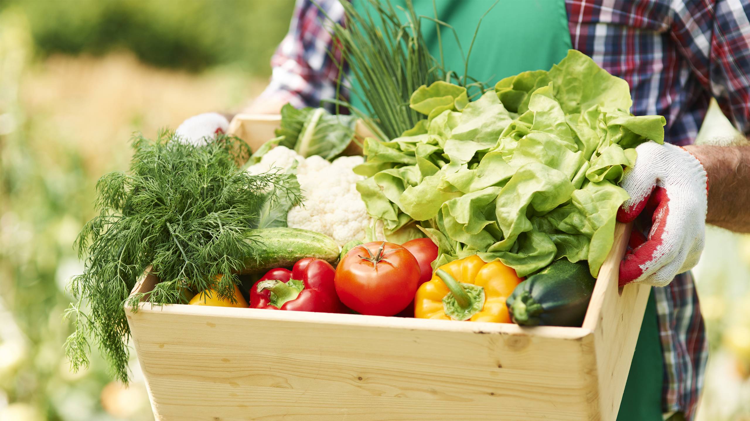 Hortifrútis: tendências de consumo na pandemia