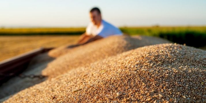 <strong>Distribuidoras de insumos agrícolas: como encontrar?</strong>