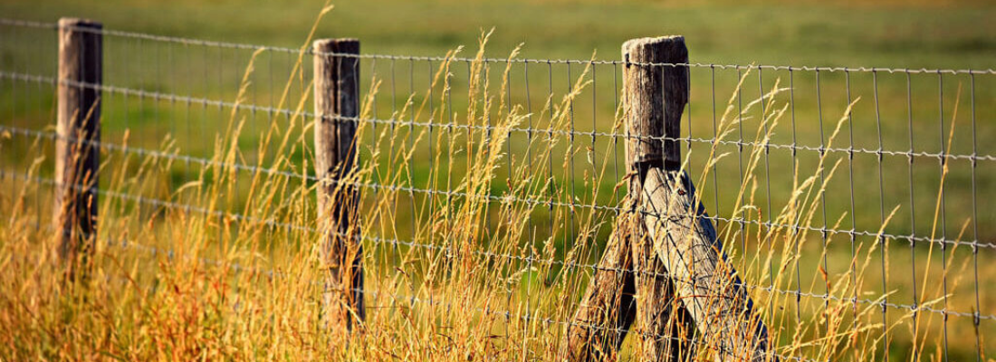 Tipos de cercas para instalar em sua fazenda