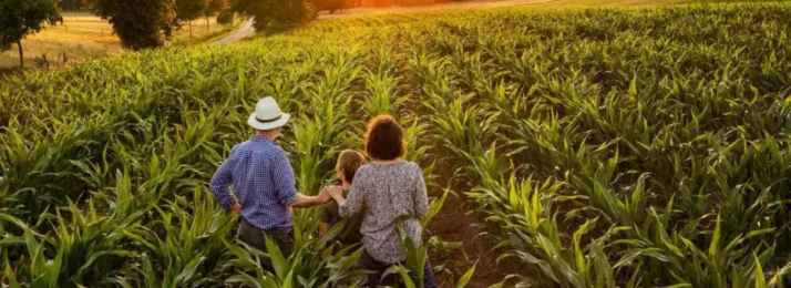 A Força da Terra: Desvendando a Agricultura Familiar Brasileira em Detalhes