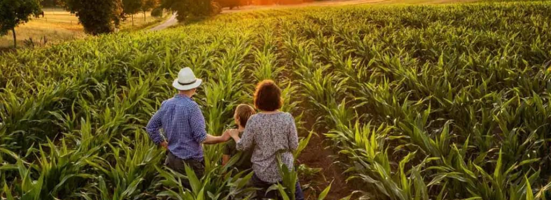 A Força da Terra: Desvendando a Agricultura Familiar Brasileira em Detalhes