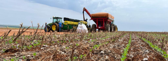 Plantando no Centro-Oeste com pouca chuva: um guia para o sucesso