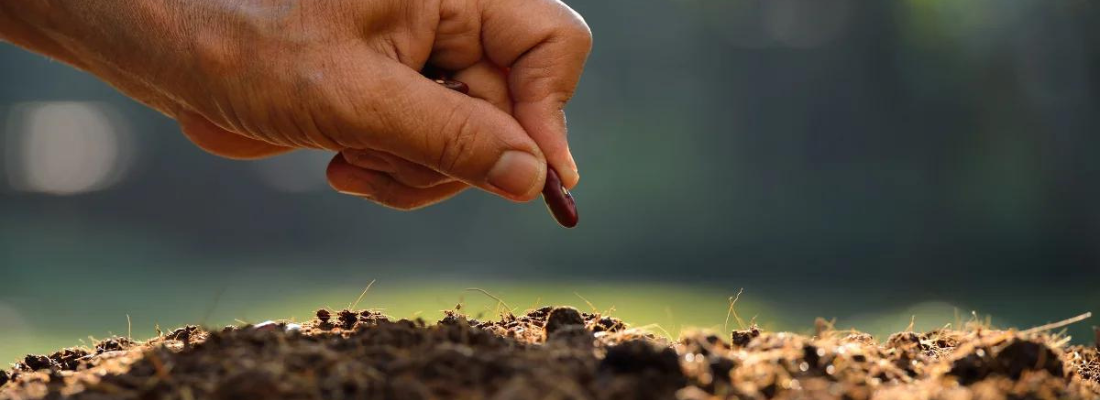 O Calendário Agrícola e as Oportunidades de Vendas: Conectando Produtores e Vendedores