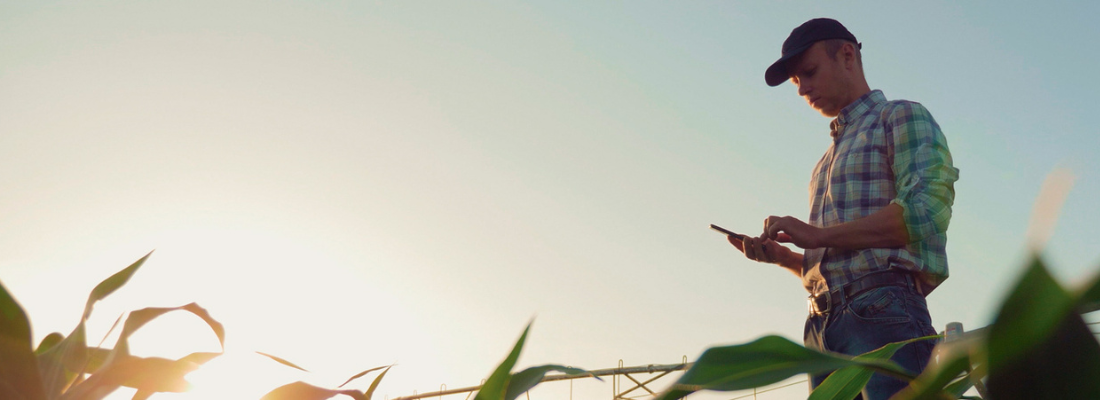 A Revolução da Cotação Agrícola: Conectando Produtores e Revendedores