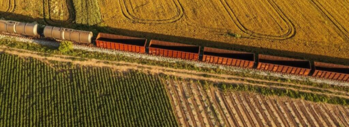 O Escoamento da Produção Agropecuária Brasileira: Desafios e Perspectivas