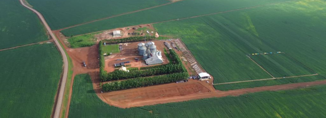 O Tocantins Colhe os Frutos do Agronegócio