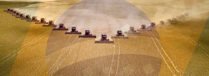 Medalhas de ouro no campo: o Brasil brilha na produção agrícola mundial!