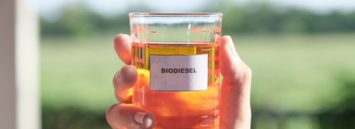 O Biodiesel: Uma Ponte entre o Campo e a Energia Renovável