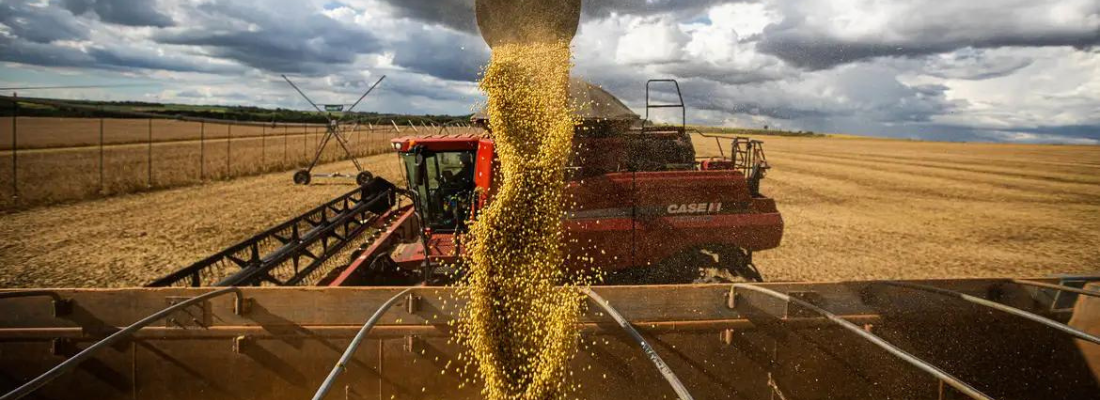 O Matopiba: A Nova Fronteira Agrícola do Brasil