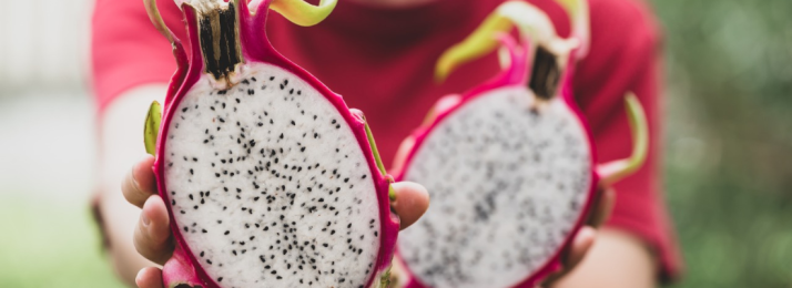 Pitaya: Uma Aposta Certeira para o Agronegócio