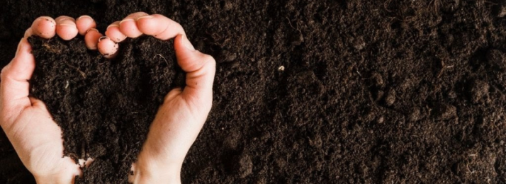 Fertilizantes Sustentáveis: Nutrição para o Solo e Lucro para a Fazenda