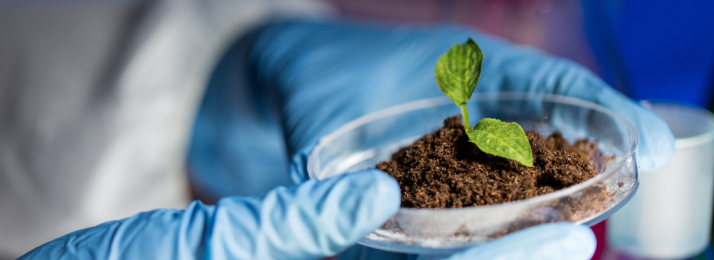 A Importância da Pesquisa e Desenvolvimento para o Agronegócio: Um Motor de Inovação