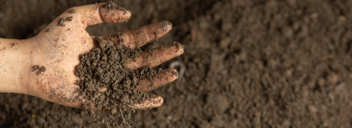 Conservação do Solo: A Base para uma Agricultura Produtiva e Sustentável