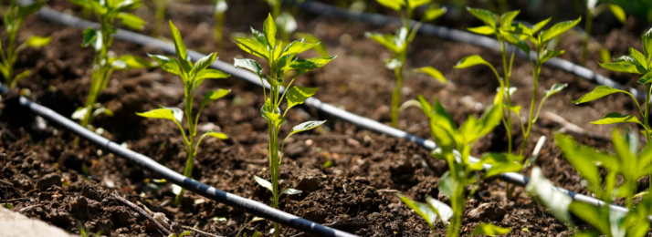 O Impacto da Irrigação Inteligente no Agronegócio Brasileiro