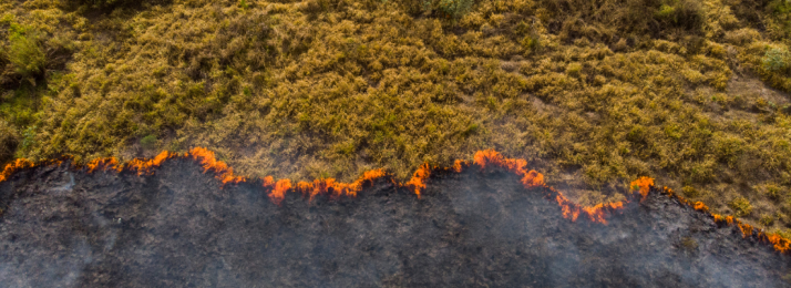 Clima de Setembro no Maranhão: Impactos das Secas e Mudanças Climáticas no Agronegócio