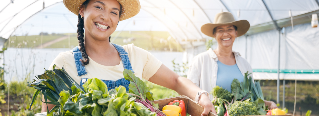 Dia Internacional das Mulheres Rurais: Celebrando a Força e a Resiliência no Campo