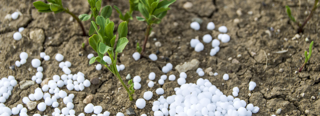 Otimização do Uso de Fertilizantes no Maranhão: Práticas Sustentáveis e Rentáveis