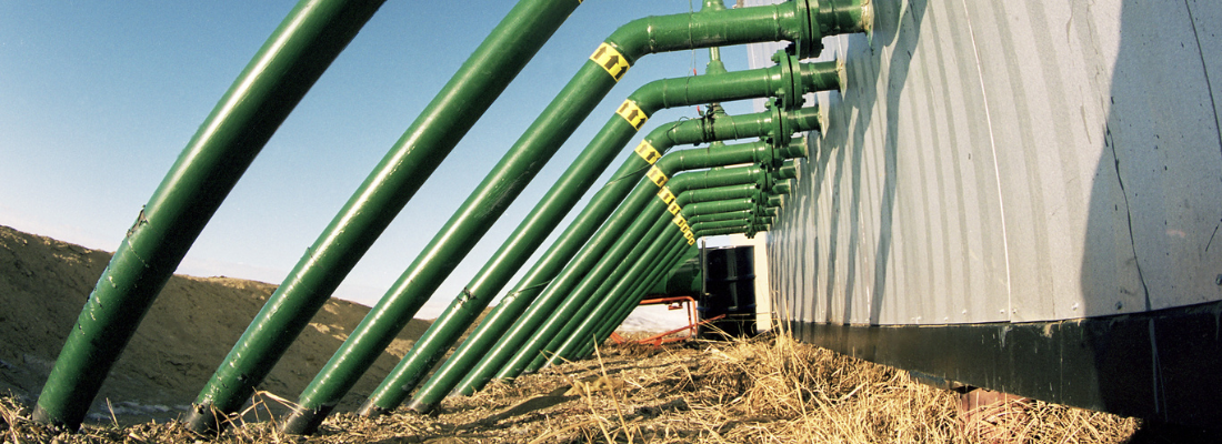 A Revolução das Biofábricas no Agronegócio e o Futuro da Produção Sustentável