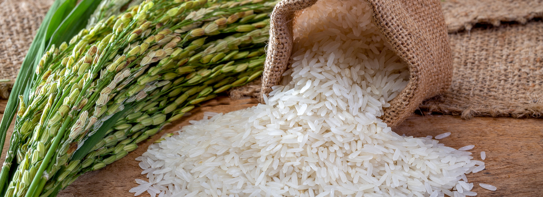 Tecnologia e Inovação no Cultivo de Arroz no Brasil