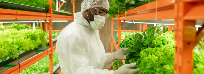 O Dia do Engenheiro Agrônomo: Celebrando a Profissão que Transforma o Campo