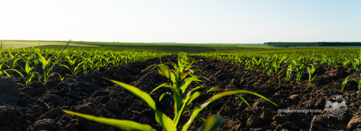 A Importância do Solo para a Sustentabilidade do Agronegócio