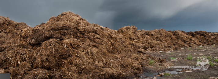 O Uso de Biofertilizantes na Agricultura Brasileira: Benefícios e Desafios