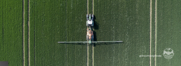 A Grandeza do Agro Brasileiro: A Potência que Alimenta o Mundo