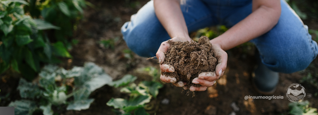 O Papel da Agricultura Regenerativa na Conservação do Solo no Brasil