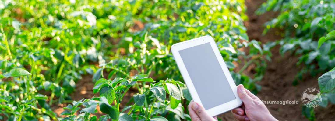 Os Desafios e Avanços da Agricultura de Precisão no Brasil Rural