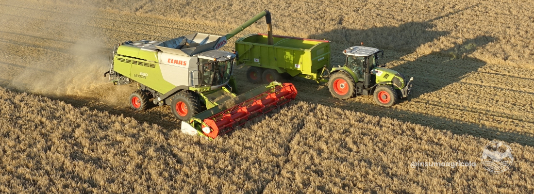 O Impacto da Agroindústria na Economia do Maranhão