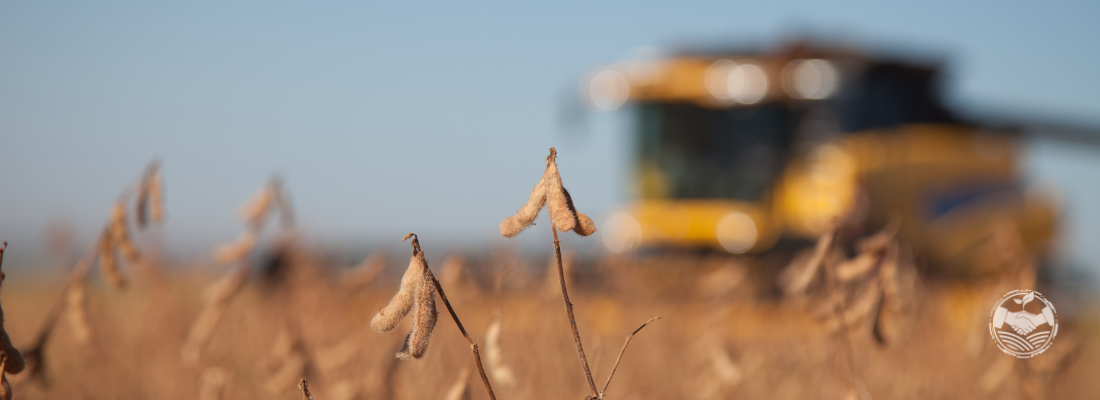 O Papel do Maranhão no Desenvolvimento do Agronegócio Brasileiro