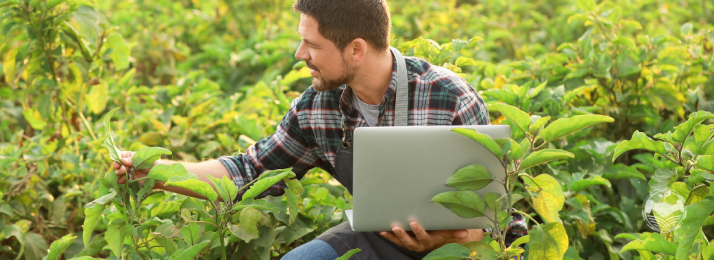 Gestão de Riscos no Agronegócio: Dicas para Pequenos Produtores