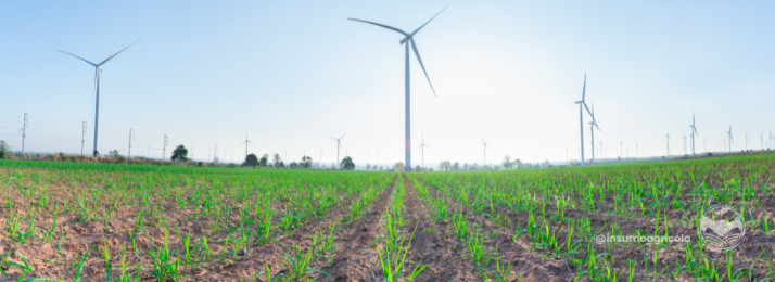 A Ascensão da Agroenergia no Brasil: O Futuro Sustentável da Produção Energética