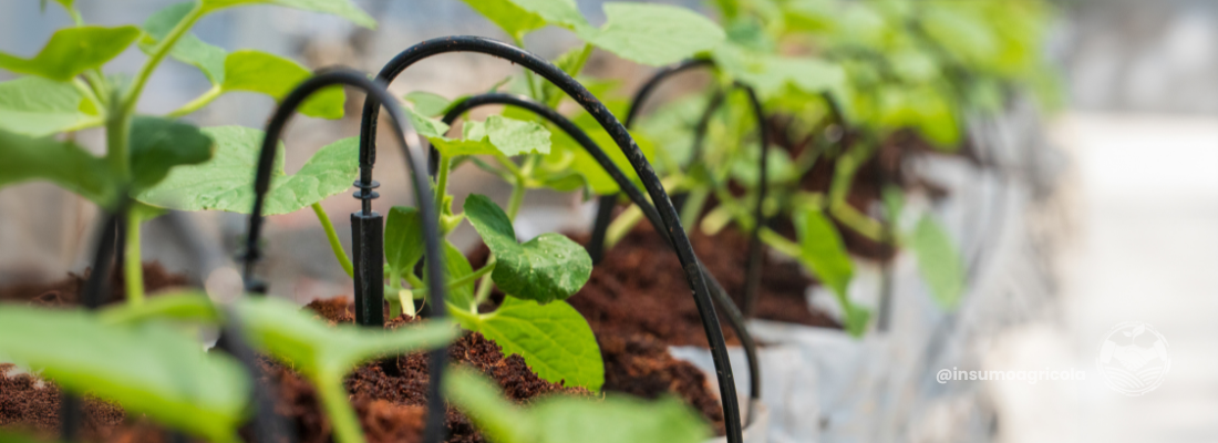 Os Benefícios e Desafios da Irrigação no Agronegócio Brasileiro