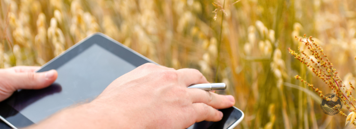 Nanotecnologia no Agronegócio: Revolucionando a Produção Rural