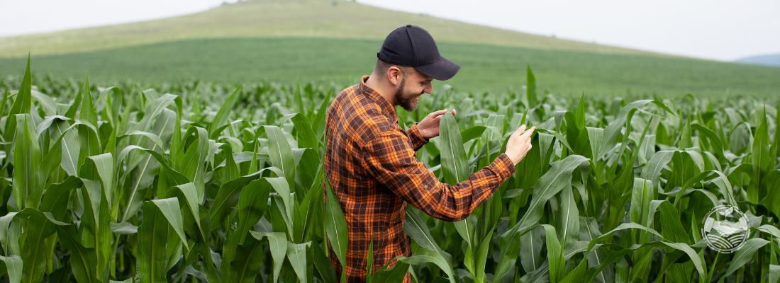 Inteligência Artificial no Agronegócio: Como a Tecnologia Está Redefinindo o Campo