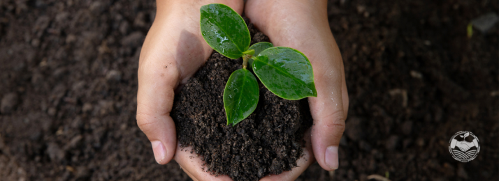 Técnicas de Conservação do Solo: Garantindo Sustentabilidade e Produtividade no Agronegócio