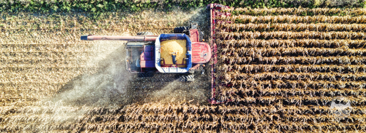 Agroindústria no Maranhão: Oportunidades de Crescimento e Inovação