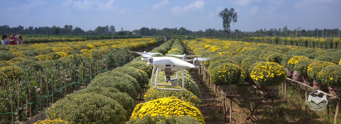 Inovações no Uso de Drones no Agronegócio Brasileiro