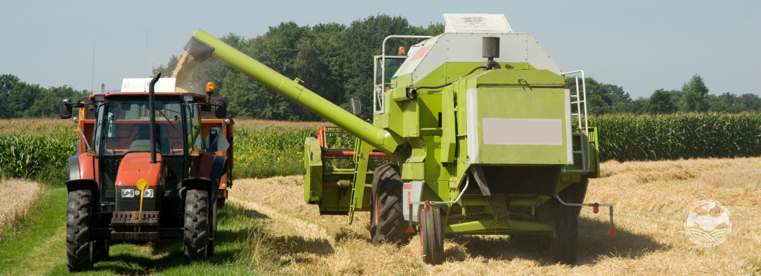 Tecnologias Disruptivas no Agronegócio: Transformando a Produção e a Gestão