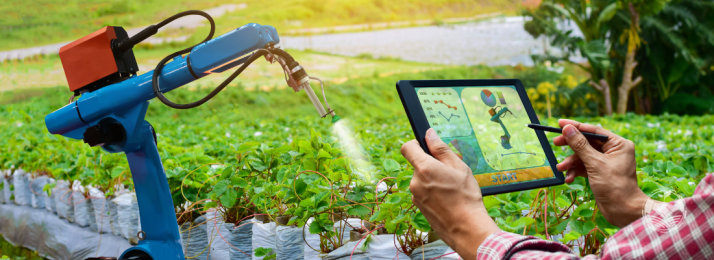 Como Implementar a Agricultura Digital em Pequenas Propriedades